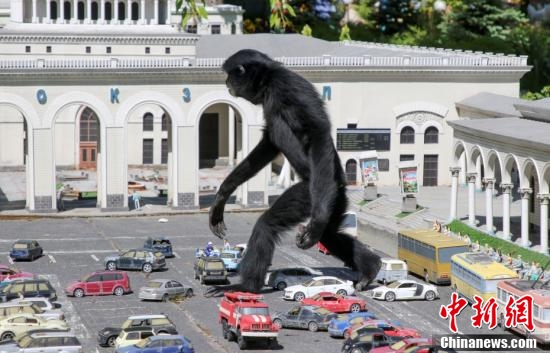 神奇動物在哪裡?反正不在魔法世界 神奇動物在哪裡?反正不在魔法世界