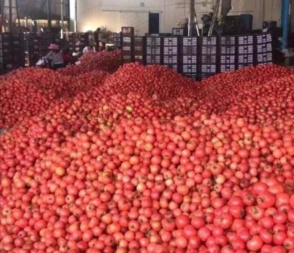 拆土灶!每戶補助二千元,農村停止建房不許翻修?這是什麼原因? 拆土灶!每戶補助二千元,農村停止建房不許翻修?這是什麼原因?