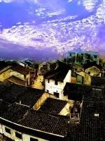 106張照片，美到眼睛移不開