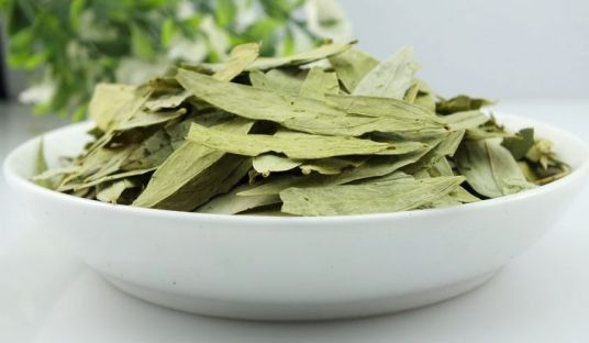 乙肝患者切勿服用這些中藥，這些藥物最傷肝