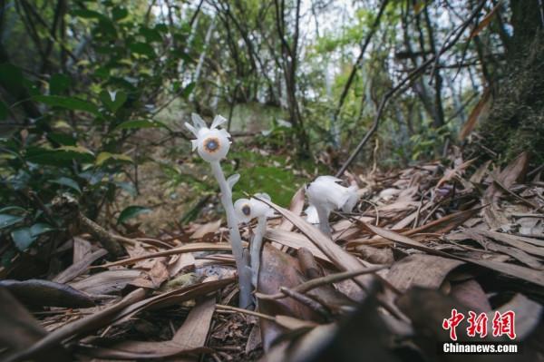 萬物共榮 華夏之美 萬物共榮 華夏之美