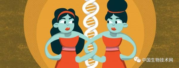 是遺傳？還是環境因素，在為阿爾茲海默症發病做出“突出”貢獻？雙胞胎研究見分曉