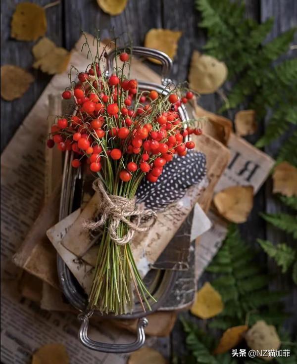 財富故事:打點小算盤,跟著財神走錢賺錢 財富故事:打點小算盤,跟著財神走錢賺錢