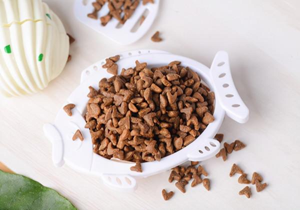 比熊幼犬都吃什麼?不同階段幼犬的餵食方法敬請檢視 比熊幼犬都吃什麼?不同階段幼犬的餵食方法敬請檢視