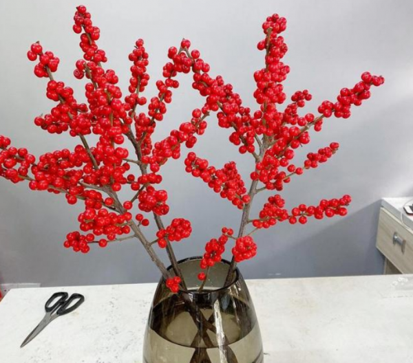 新年養盆吉祥樹，天氣越冷越紅火，看著喜慶、養著省心