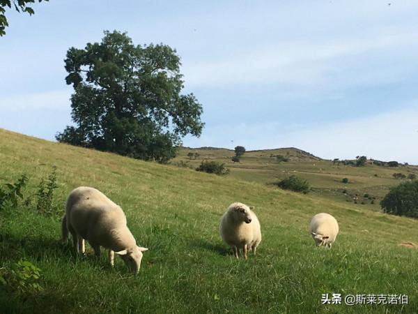 俯瞰山谷美景，體驗傳統威爾士農舍住宿（四）