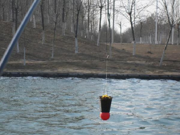 原來釣前準備有這麼多的技巧！怪不得老釣友每次魚獲總是比我多