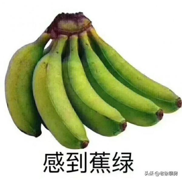 剛需妥協的新姿勢！500萬的東西向兩居，你還買嗎？