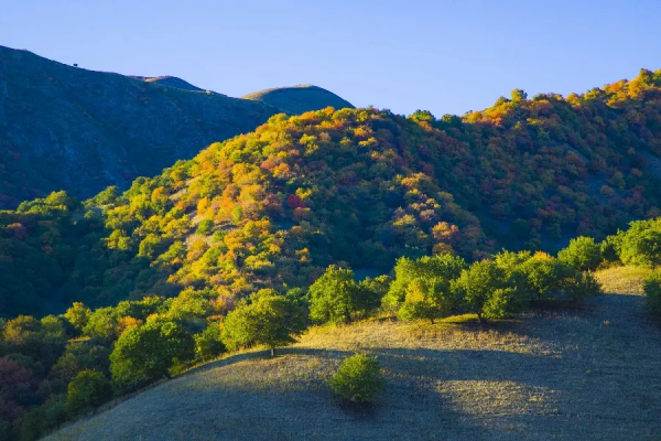 秋天的杏花谷：每一幀都是風光大片