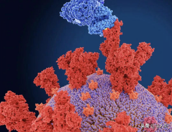 法國日增9.3萬！專家預測下個月確診數明顯下降