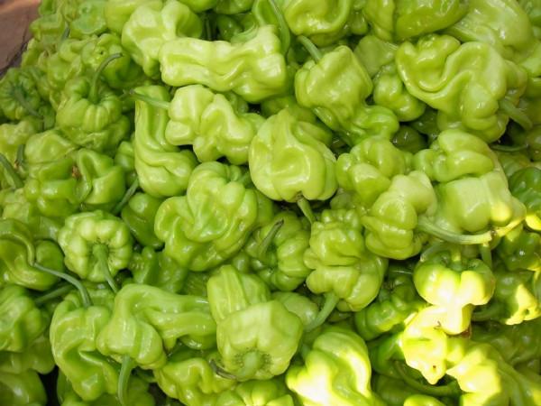 皺皮辣椒怎麼做好吃? 皺皮辣椒怎麼做好吃?