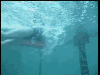 爬泳與仰泳前滾翻轉身的兩個動作要領和五個練習方法