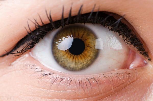 透過瞳孔的大小挖掘目光背後的真相