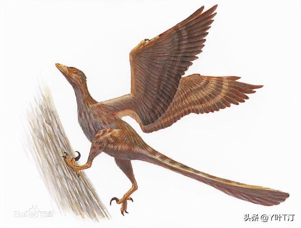 肉食恐龍大盤點：馳龍科（下盤點）