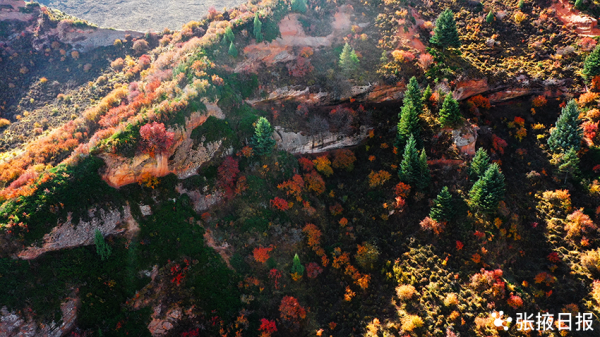 秋染祁連山，馬蹄寺景區五彩斑斕美不勝收