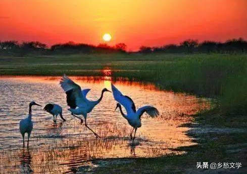 鶴舞向海之探幽&mdash;&mdash;你知道為何鶴舞向海嗎？