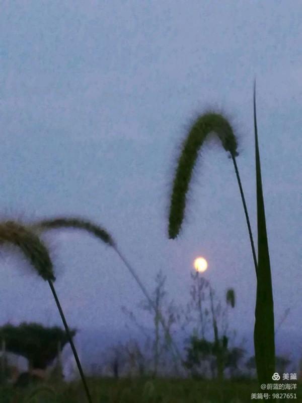 月圓中秋故鄉明,舉杯邀月寄相思 月圓中秋故鄉明,舉杯邀月寄相思