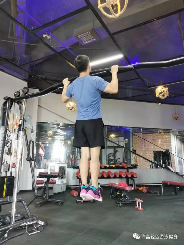 背部的訓練動作有哪些?該怎麼做 背部的訓練動作有哪些?該怎麼做