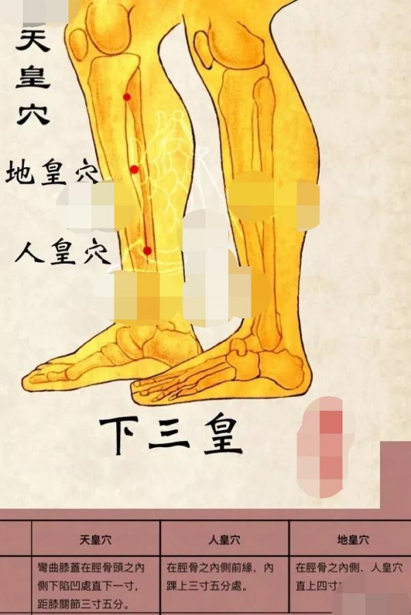 中醫針灸肩部疾病處方1 中醫針灸肩部疾病處方1