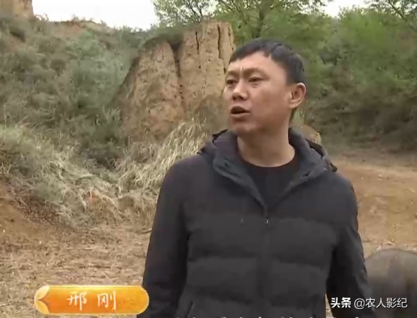 河北小夥創業搞養殖，怪招養黑豬，賣豬有高招，年收入達5000萬元