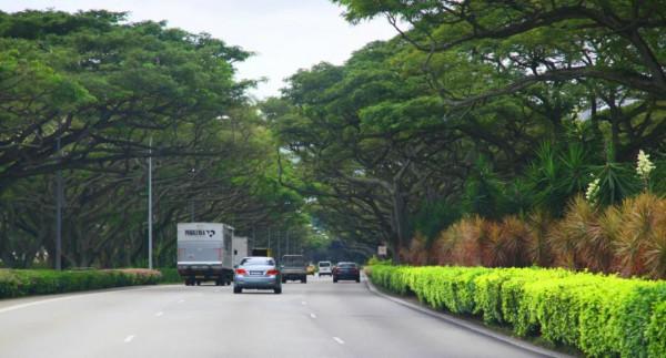 10年深度+豪華遊玩60國