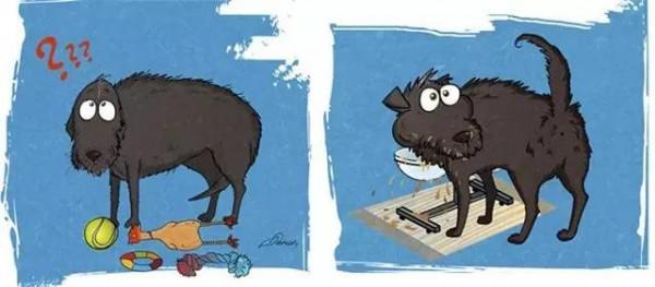 給流浪狗安家容易，改變它流浪的辛難，其實你只需要這麼做…漫畫