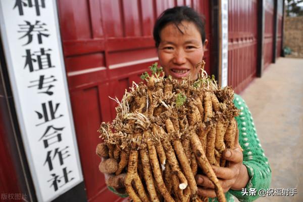 論感冒&mdash;&mdash;諸病理解治析系列