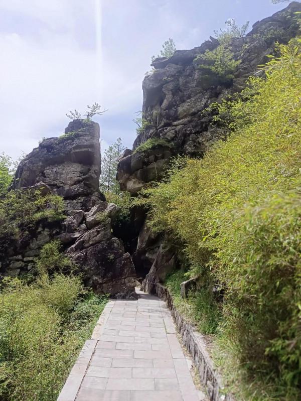 秦嶺深處的高山草甸，朱雀森林公園