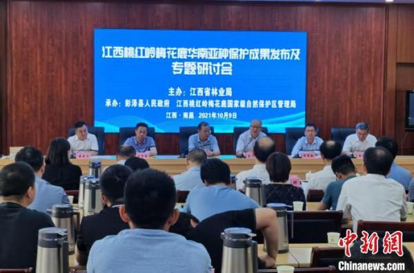 江西桃紅嶺梅花鹿華南亞種種群數量40年增長10倍