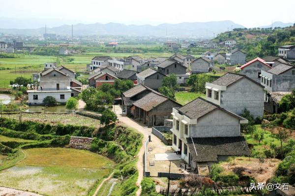 母親最後的話——我的求職之路（29）