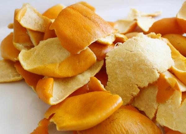 如何消滅狗狗的跳蚤?老祖宗流傳下來的“偏方”,效果很好 如何消滅狗狗的跳蚤?老祖宗流傳下來的“偏方”,效果很好