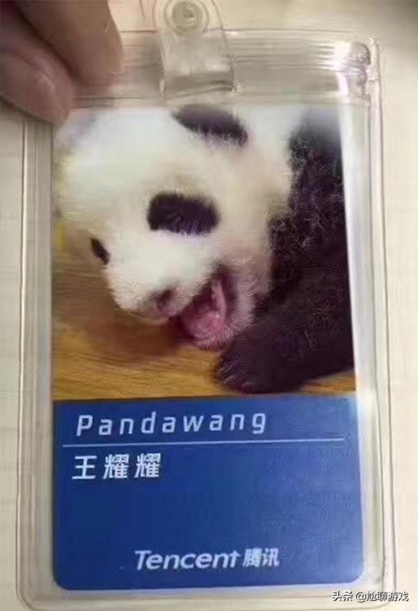 夢奇-胖達榮榮隱藏彩蛋揭秘：熊貓、天美總部，廣告資訊無處不在