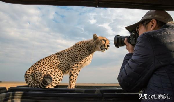 從外交官到“中國獅子王”，他深入非洲14年，只為解鎖這些秘密