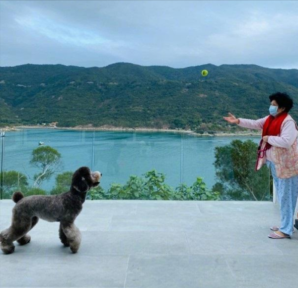 8位定居內地的港臺明星,有人購置上億豪宅,有人只能租房住 8位定居內地的港臺明星,有人購置上億豪宅,有人只能租房住