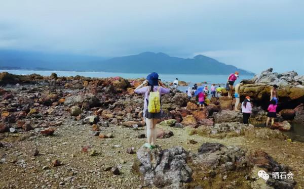 等疫情結束後，我們去撿石頭吧