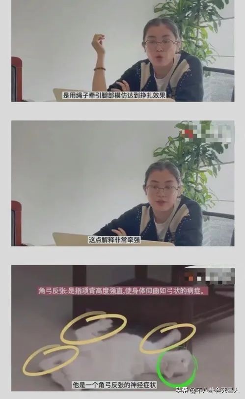 於正新劇虐貓事件進展!群演曝貓真正死因,澄清作假後劇方仍沉默 於正新劇虐貓事件進展!群演曝貓真正死因,澄清作假後劇方仍沉默