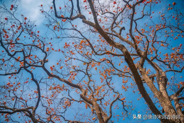 宋詞裡的秋天,惹人醉也惹人淚 宋詞裡的秋天,惹人醉也惹人淚