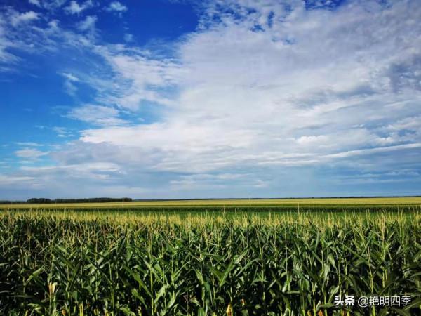 從東極到北極,走G331穿越沿途美景無數(東北邊境行之十二) 從東極到北極,走G331穿越沿途美景無數(東北邊境行之十二)
