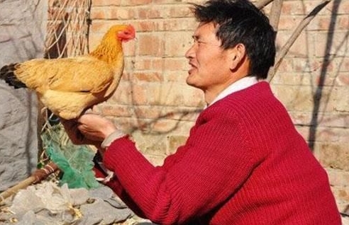 大衣哥10年沉浮錄:人性矛盾,親人吸血,成也名敗也名 大衣哥10年沉浮錄:人性矛盾,親人吸血,成也名敗也名