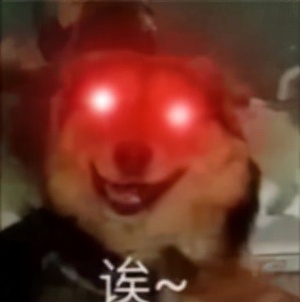 2021年最強視覺欺騙！只有王者級的眼睛才能識破騙局