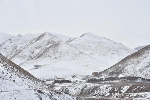 明天九月二十五，俗語“冷不冷，就看九月二十五”，農諺能預兆