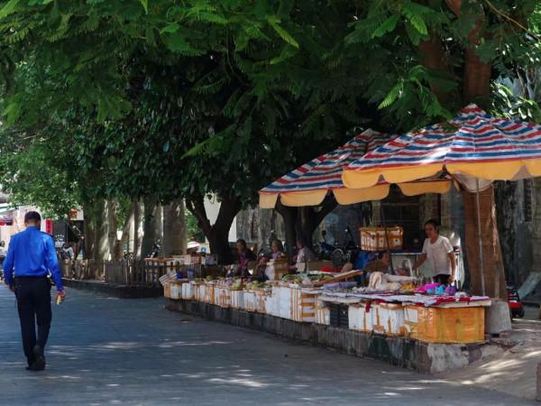 中國最美海島潿洲島:3億歲風華正茂,清新文藝超好逛 中國最美海島潿洲島:3億歲風華正茂,清新文藝超好逛