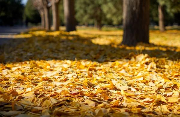 適馬APS-C畫幅標準變焦鏡頭18-50mm F2.8 DC DN測評報告 適馬APS-C畫幅標準變焦鏡頭18-50mm F2.8 DC DN測評報告