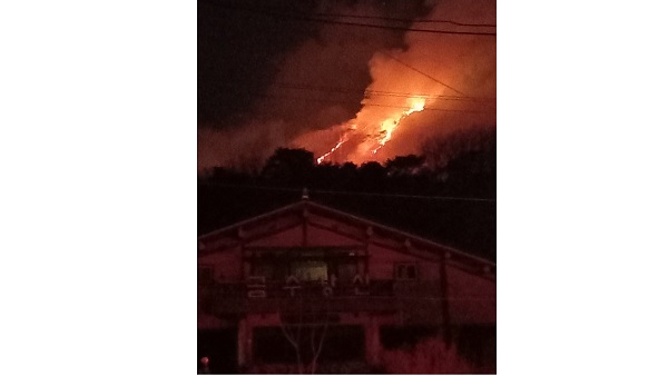 韓國軍隊訓練引發山火：現場火光沖天 5000平米樹木被燒燬