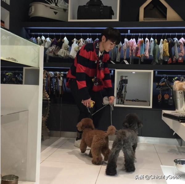 韓國男神們寵物大盤點!萌寵+美男不要太養眼 韓國男神們寵物大盤點!萌寵+美男不要太養眼