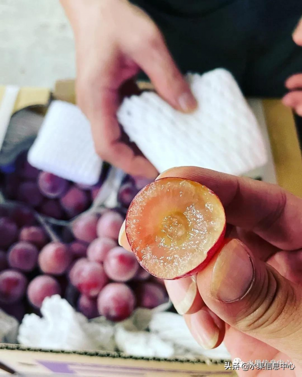200元1斤,葡萄界中的勞斯萊斯,妮娜皇后究竟如何? 200元1斤,葡萄界中的勞斯萊斯,妮娜皇后究竟如何?