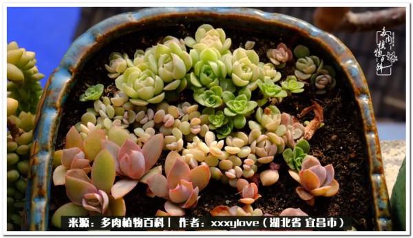 時光匆匆，一閃而逝，這世間萬物的美，都值得被記錄