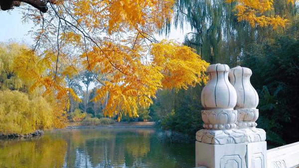 北京動物園裡意想不到的秋色 北京動物園裡意想不到的秋色