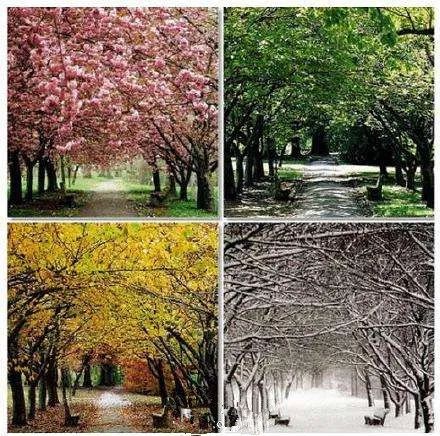 為什麼要5點起床？