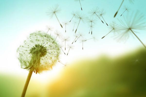 培養孩子，就是把一些“可能性”變大或變小